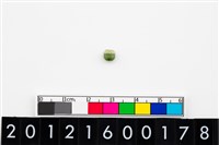 藏品(鈴形玉珠)的圖片