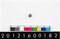 藏品(鈴形玉珠)的圖片