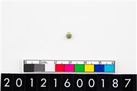 藏品(鈴形玉珠)的圖片