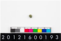 藏品(鈴形玉珠)的圖片