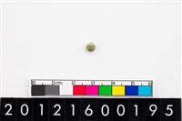 藏品(鈴形玉珠)的圖片