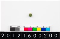 藏品(鈴形玉珠)的圖片