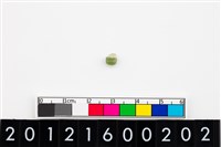 藏品(鈴形玉珠)的圖片