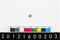 藏品(鈴形玉珠)的圖片