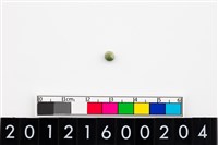 藏品(鈴形玉珠)的圖片