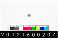 藏品(鈴形玉珠)的圖片