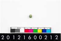 藏品(鈴形玉珠)的圖片