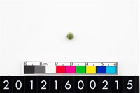 藏品(鈴形玉珠)的圖片