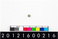 藏品(鈴形玉珠)的圖片