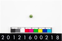 藏品(鈴形玉珠)的圖片