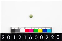 藏品(鈴形玉珠)的圖片