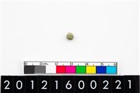 藏品(鈴形玉珠)的圖片