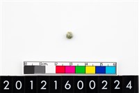 藏品(鈴形玉珠)的圖片