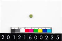 藏品(鈴形玉珠)的圖片