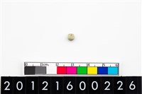 藏品(鈴形玉珠)的圖片