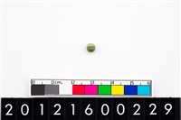 藏品(鈴形玉珠)的圖片