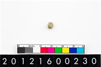 藏品(鈴形玉珠)的圖片