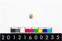 藏品(鈴形玉珠)的圖片