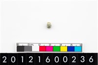 藏品(鈴形玉珠)的圖片