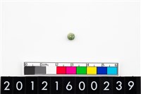 藏品(鈴形玉珠)的圖片