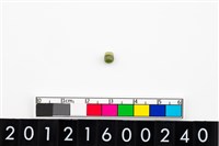 藏品(鈴形玉珠)的圖片