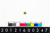 藏品(鈴形玉珠)的圖片