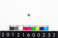 藏品(鈴形玉珠)的圖片