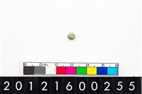 藏品(鈴形玉珠)的圖片