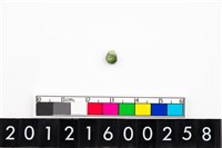 藏品(鈴形玉珠)的圖片