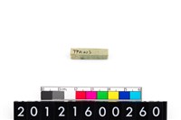 藏品(玉管珠)的圖片