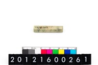 藏品(玉管珠)的圖片