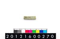 藏品(玉管珠)的圖片