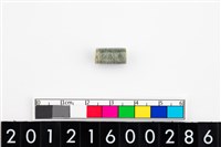 藏品(玉管珠)的圖片