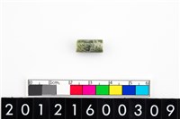 藏品(玉管珠)的圖片