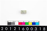 藏品(玉管珠)的圖片