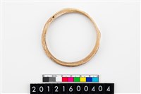 藏品(貝環)的圖片