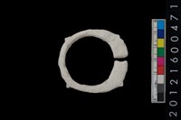 藏品(帶四突起玦形耳飾)的圖片