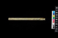 藏品(玉管)的圖片