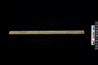 藏品(玉管)的圖片