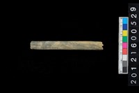 藏品(兩端帶穿玉棒)的圖片