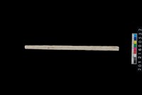 藏品(兩端帶穿玉棒)的圖片