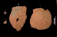 藏品(折肩及腹片)的圖片