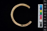 藏品(貝環)的圖片