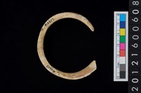 藏品(貝環)的圖片