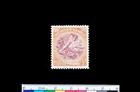 藏品(郵票)的圖片