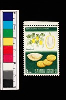 藏品(郵票)的圖片