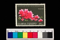 藏品(郵票)的圖片