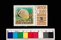 藏品(郵票)的圖片