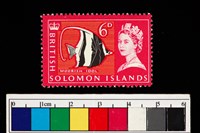 藏品(郵票)的圖片