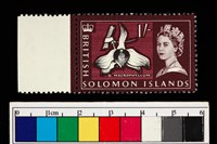 藏品(郵票)的圖片